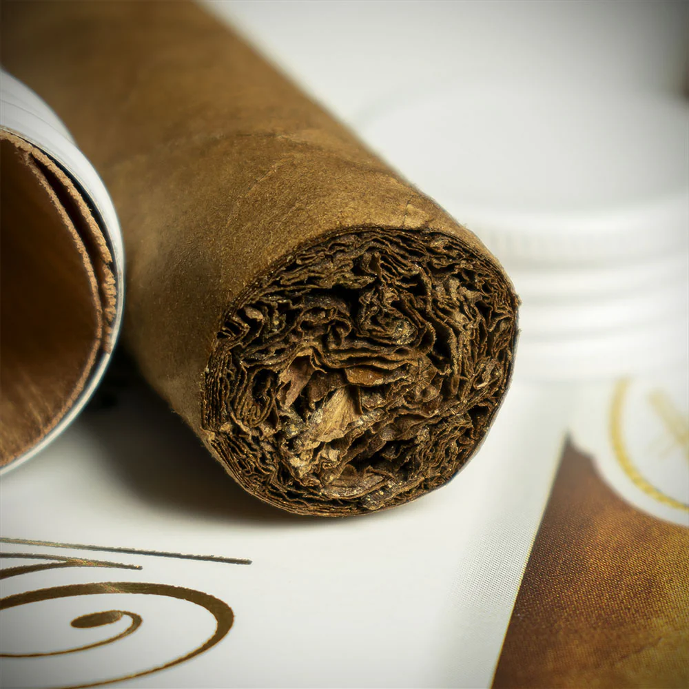 Davidoff Signature No. 2 Tubos Cigar - Single - Image 6