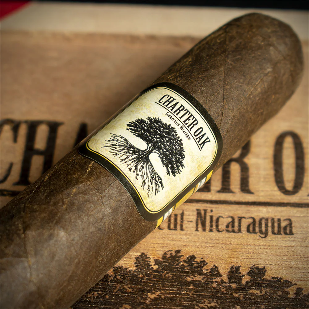 Foundation Cigars Charter Oak Connecticut Broadleaf Toro Cigar - Single - Image 4