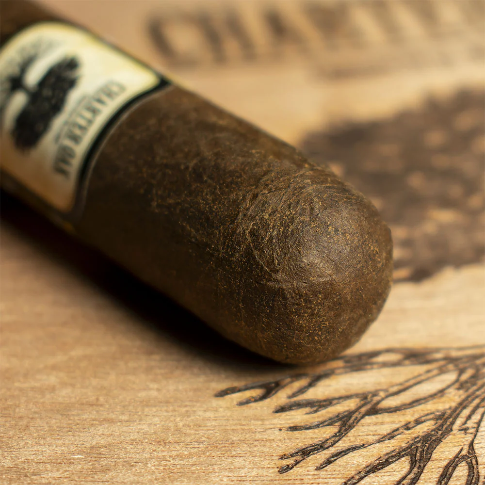 Foundation Cigars Charter Oak Connecticut Broadleaf Toro Cigar - Single - Image 5