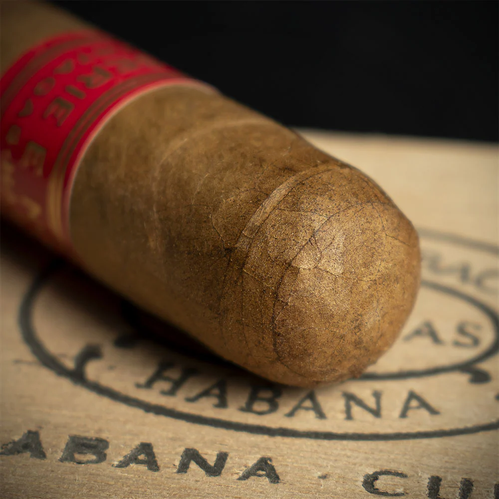 Partagas Serie E No.2 Cuban Cigar - Single - Image 5