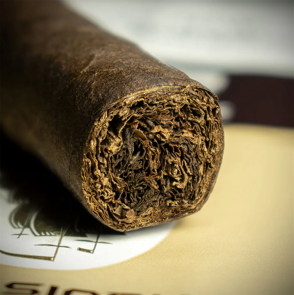 Conquistador Corona Maduro Cigar - Single - Image 6